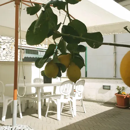 מלון דירות Hills 4*